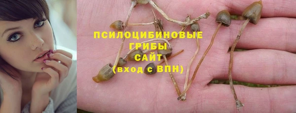 таблы Алексин